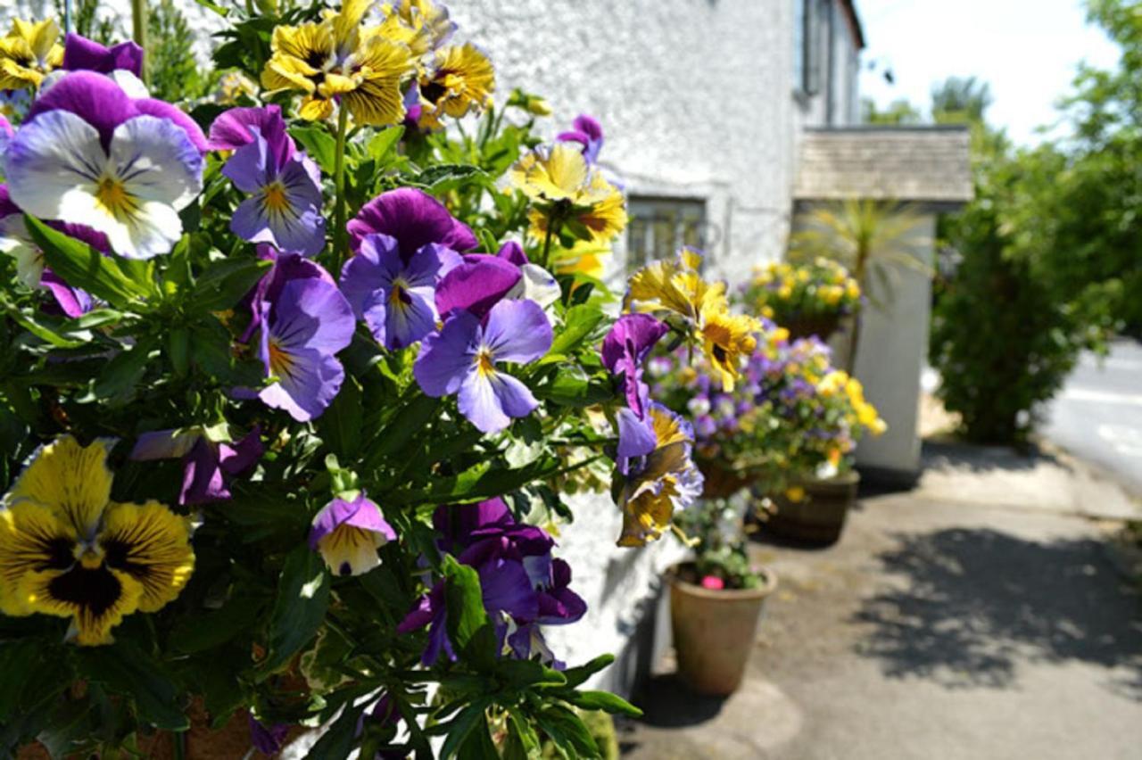 The Tytherleigh Arms Axminster Esterno foto